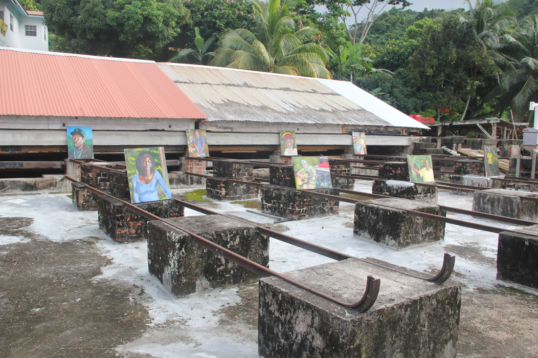 Asher-Mains-Portraits-for-Cocoa-Farmers-Video-Still-